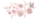 imagenheaderpaginasinternas